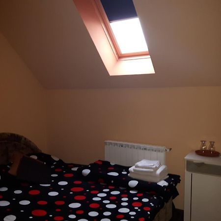 Hôtel Vila Alexia à Călimăneşti Extérieur photo