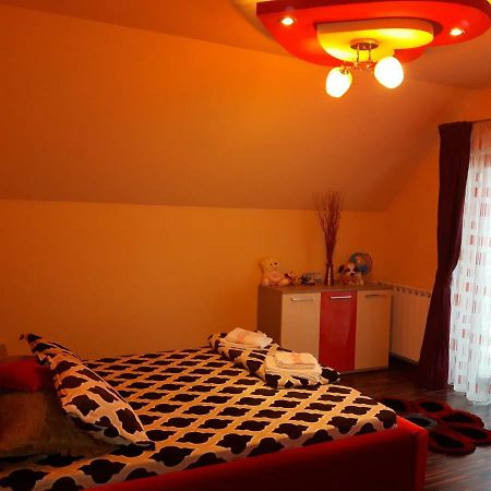 Hôtel Vila Alexia à Călimăneşti Extérieur photo