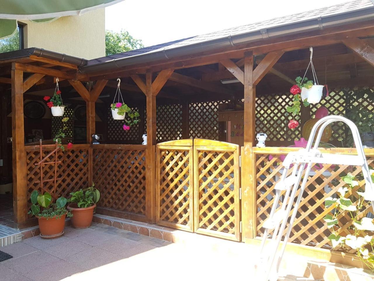 Hôtel Vila Alexia à Călimăneşti Extérieur photo
