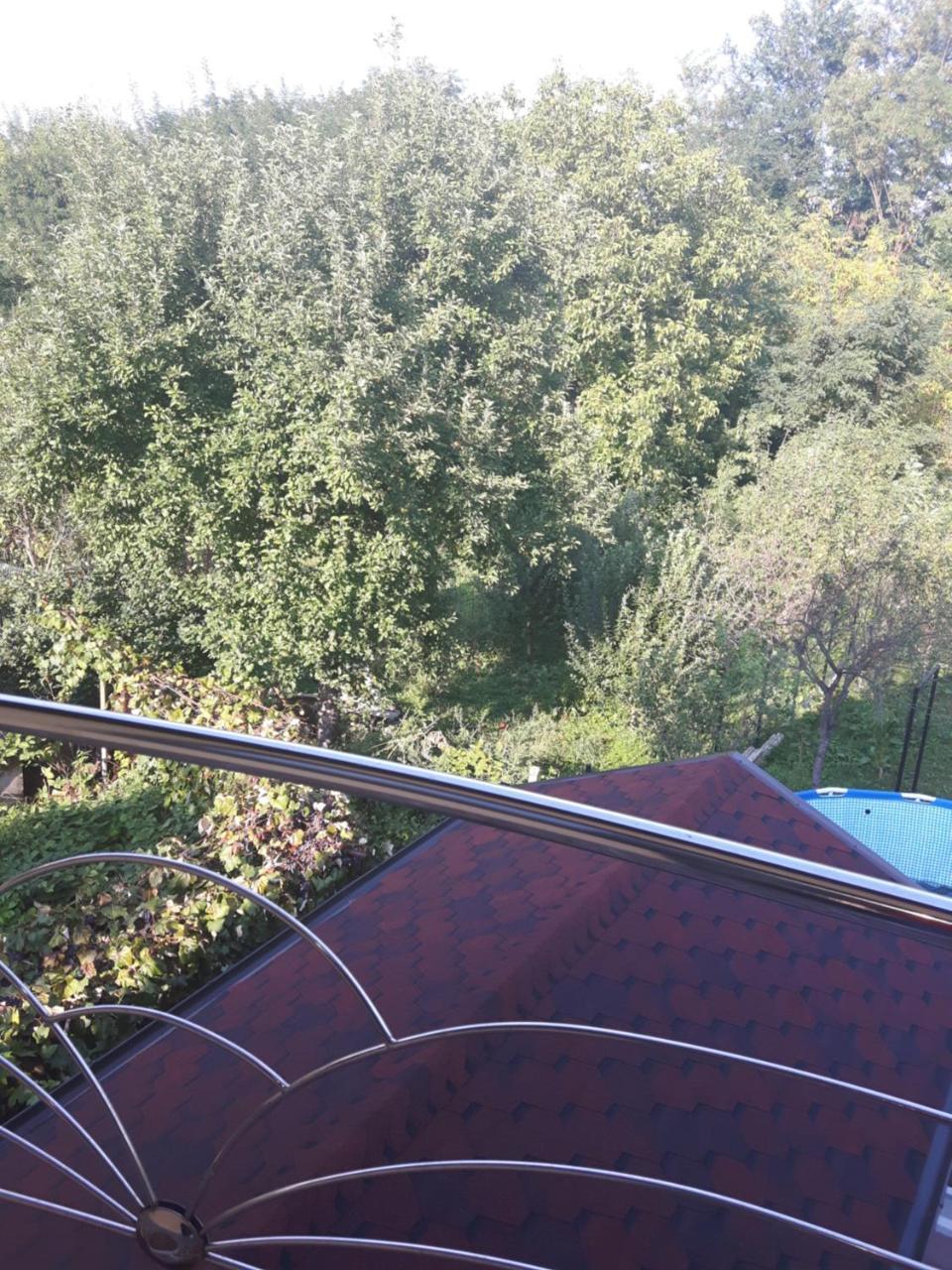 Hôtel Vila Alexia à Călimăneşti Extérieur photo