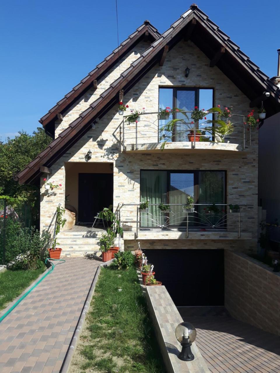 Hôtel Vila Alexia à Călimăneşti Extérieur photo
