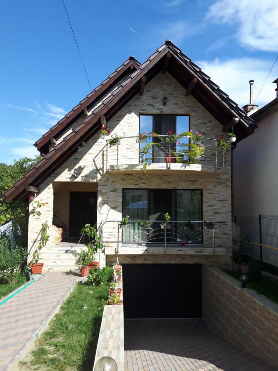 Hôtel Vila Alexia à Călimăneşti Extérieur photo