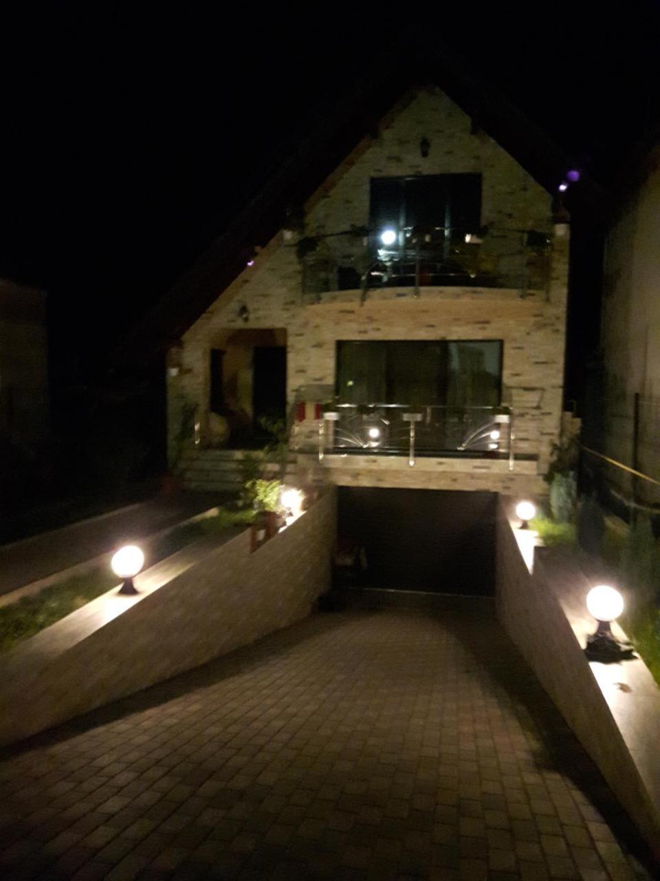 Hôtel Vila Alexia à Călimăneşti Extérieur photo
