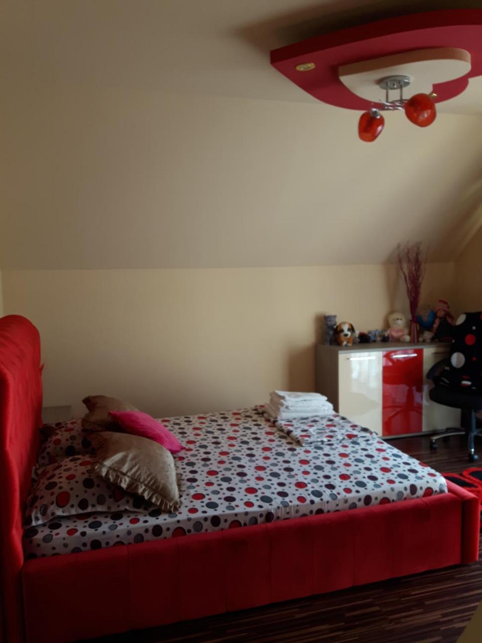 Hôtel Vila Alexia à Călimăneşti Extérieur photo