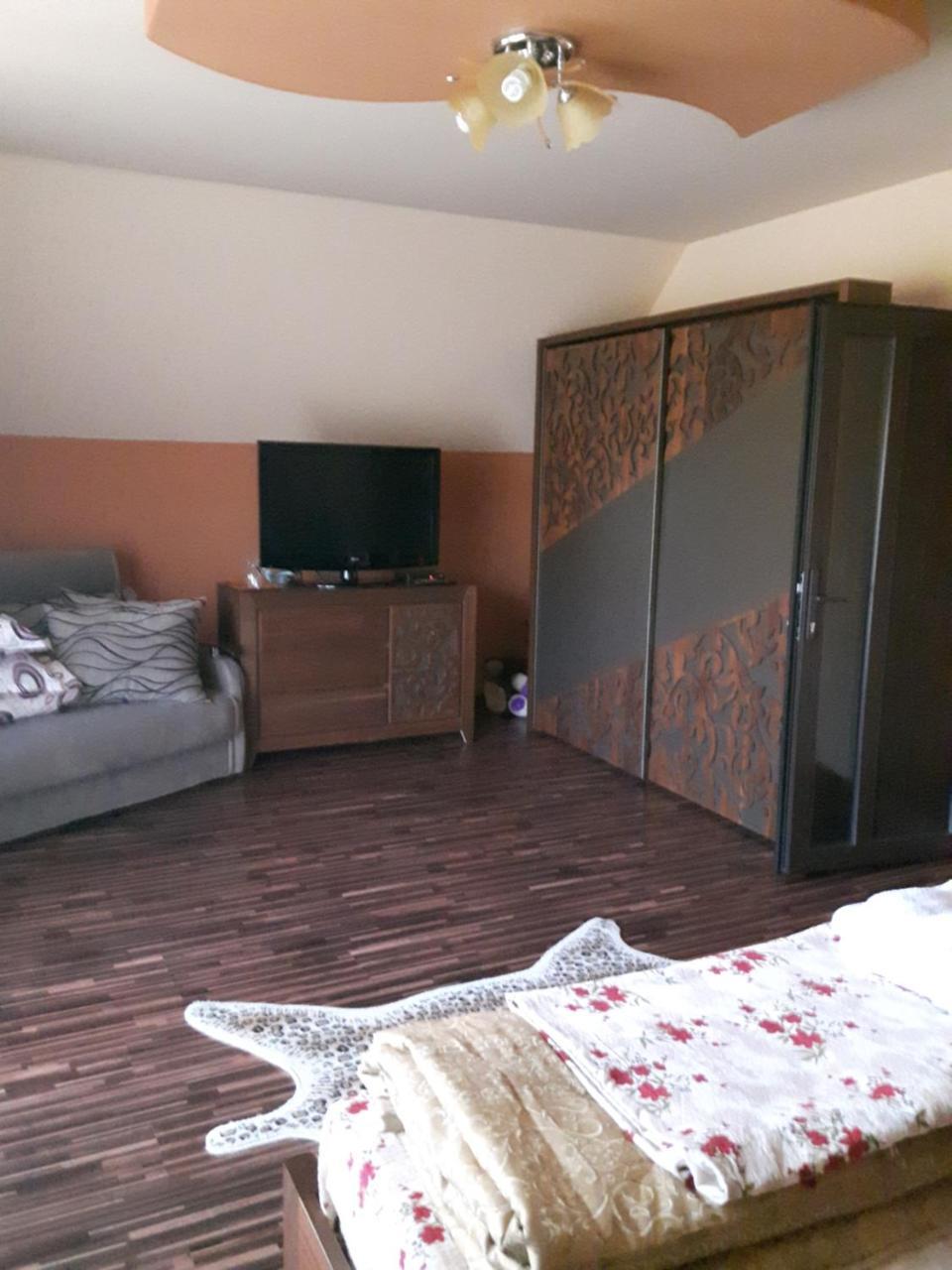 Hôtel Vila Alexia à Călimăneşti Extérieur photo