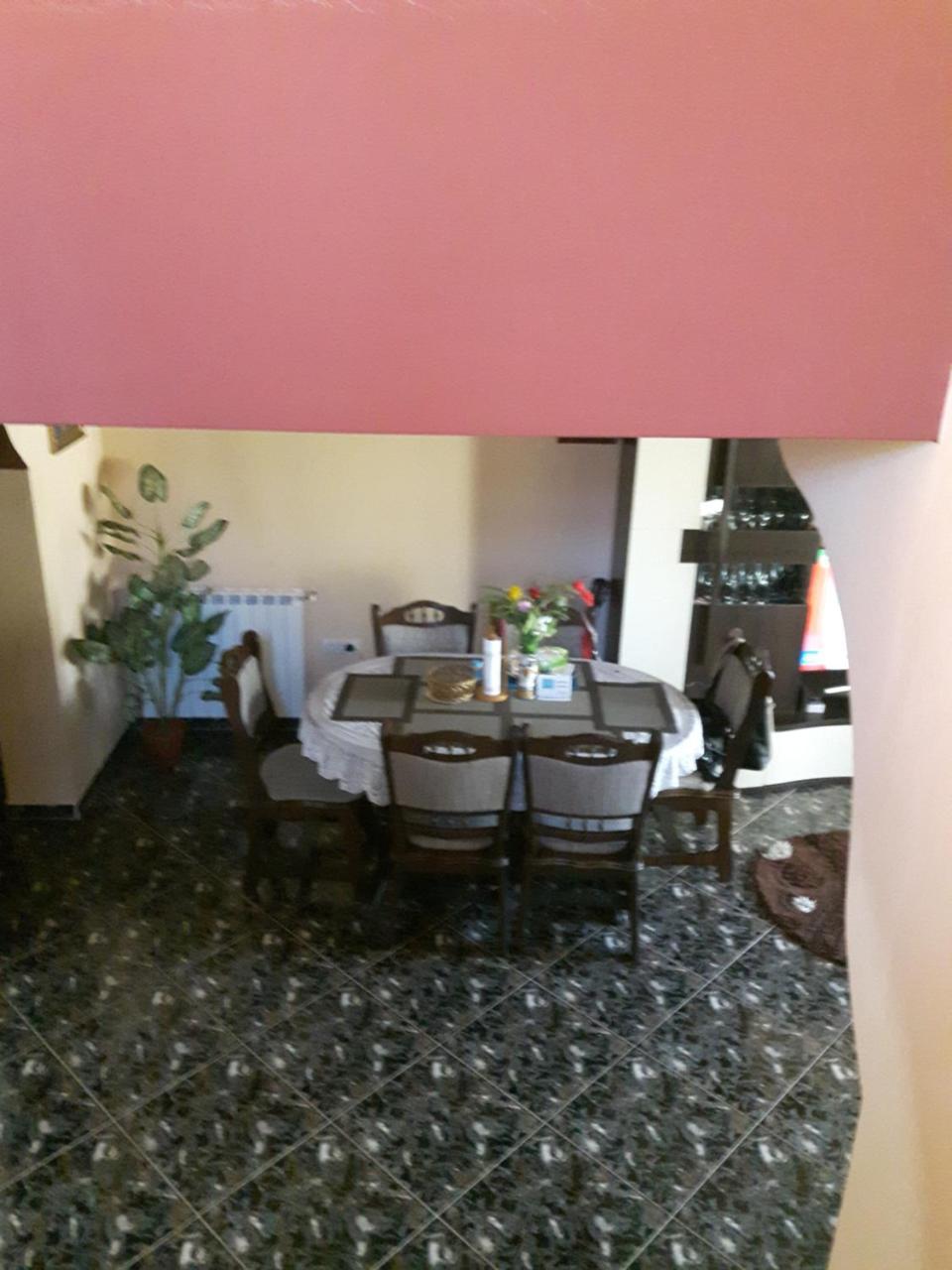 Hôtel Vila Alexia à Călimăneşti Extérieur photo