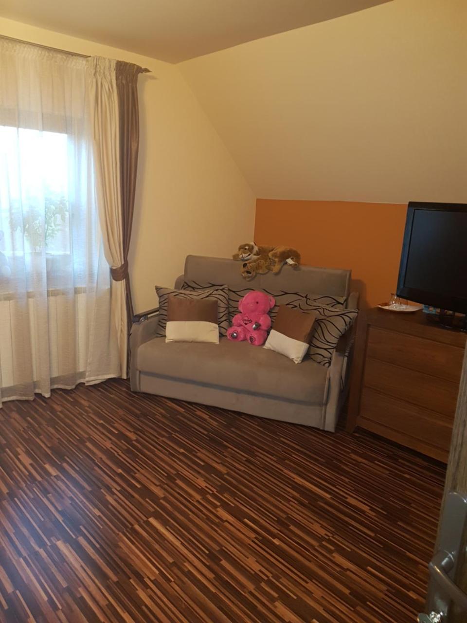 Hôtel Vila Alexia à Călimăneşti Extérieur photo