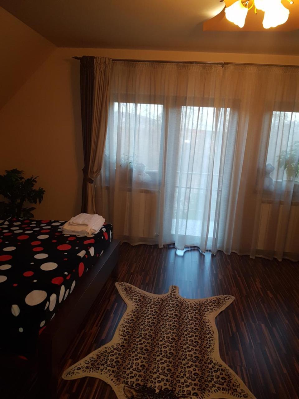 Hôtel Vila Alexia à Călimăneşti Extérieur photo