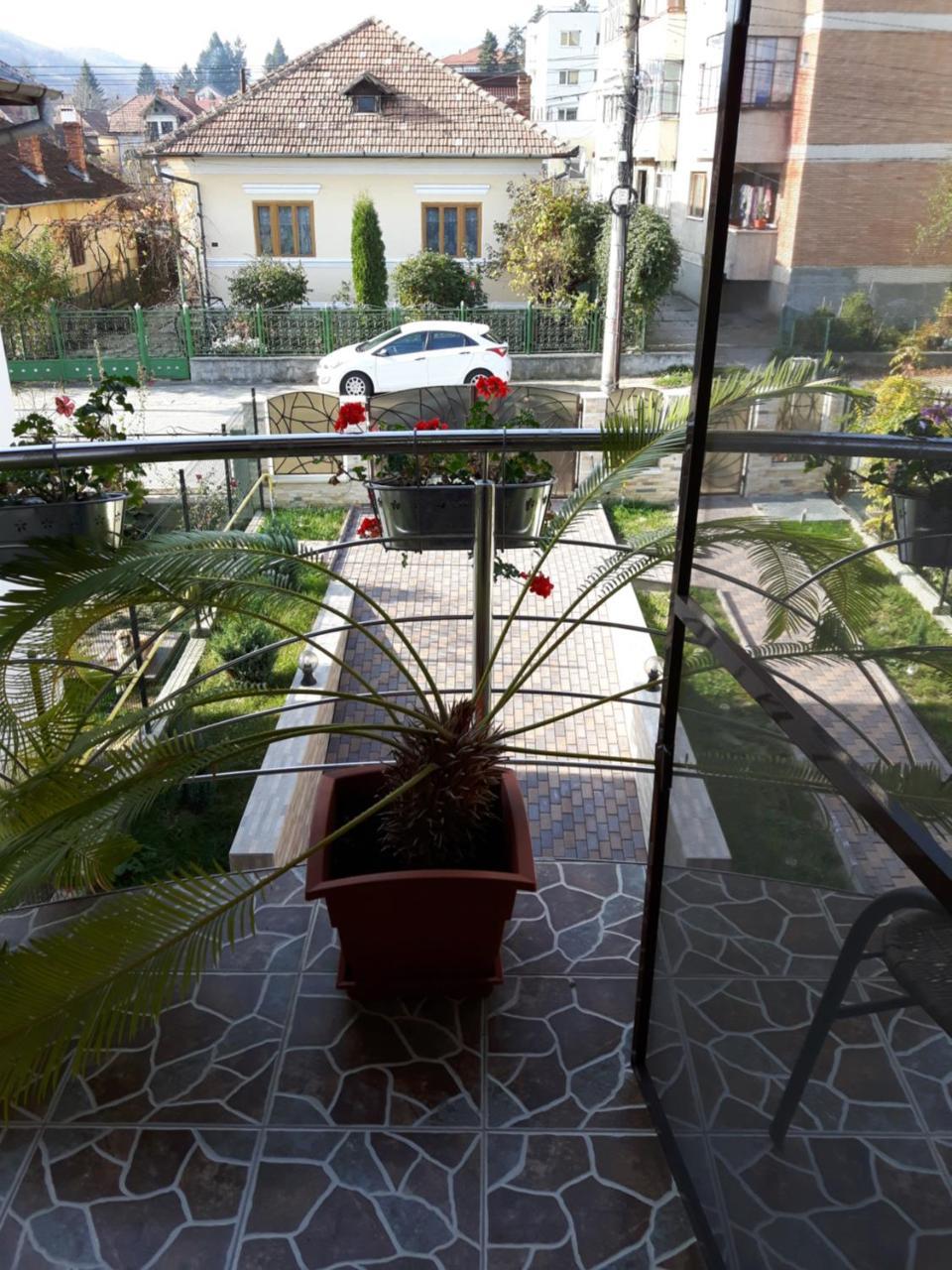 Hôtel Vila Alexia à Călimăneşti Extérieur photo