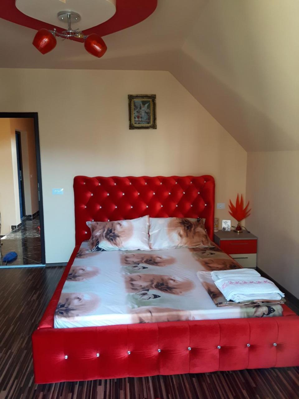 Hôtel Vila Alexia à Călimăneşti Extérieur photo