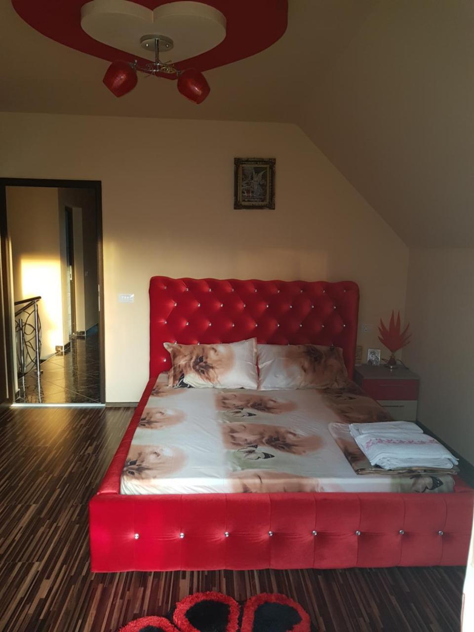 Hôtel Vila Alexia à Călimăneşti Extérieur photo