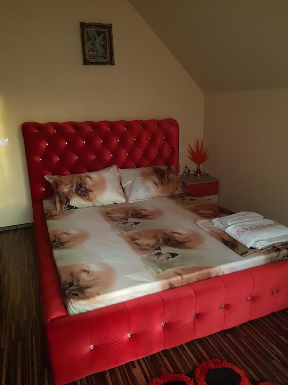 Hôtel Vila Alexia à Călimăneşti Extérieur photo