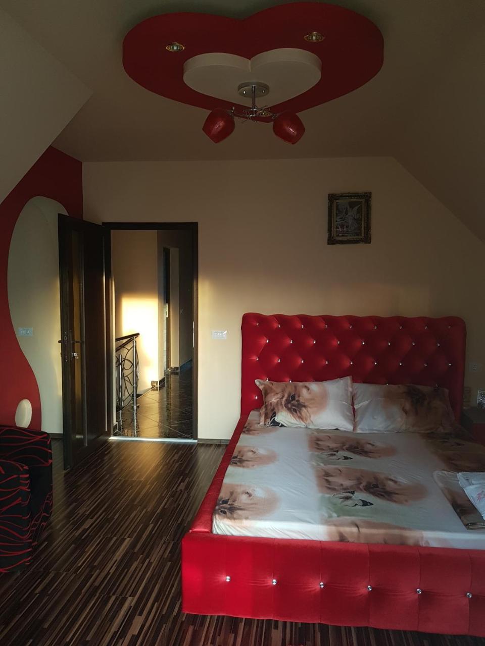 Hôtel Vila Alexia à Călimăneşti Extérieur photo