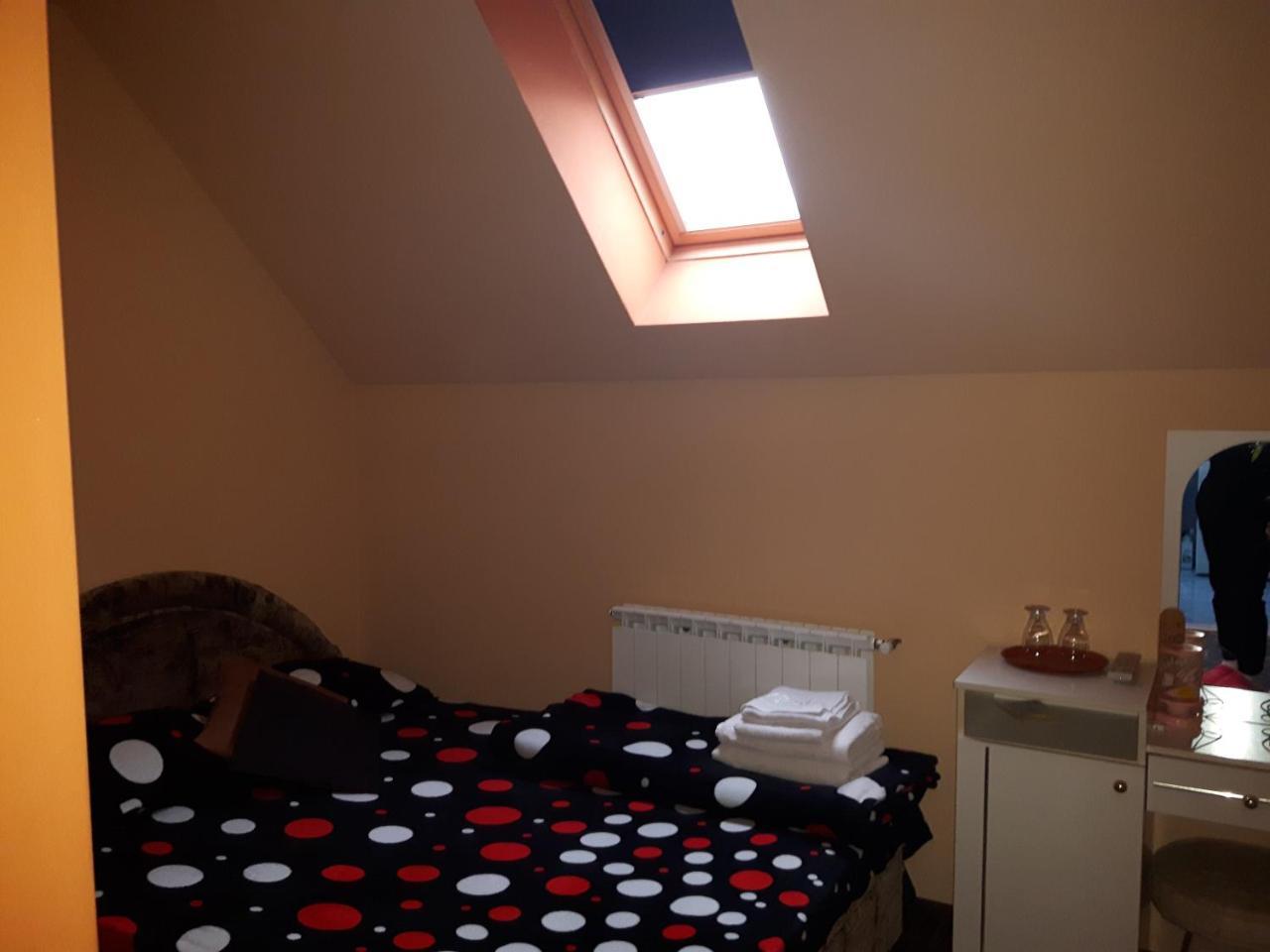 Hôtel Vila Alexia à Călimăneşti Extérieur photo