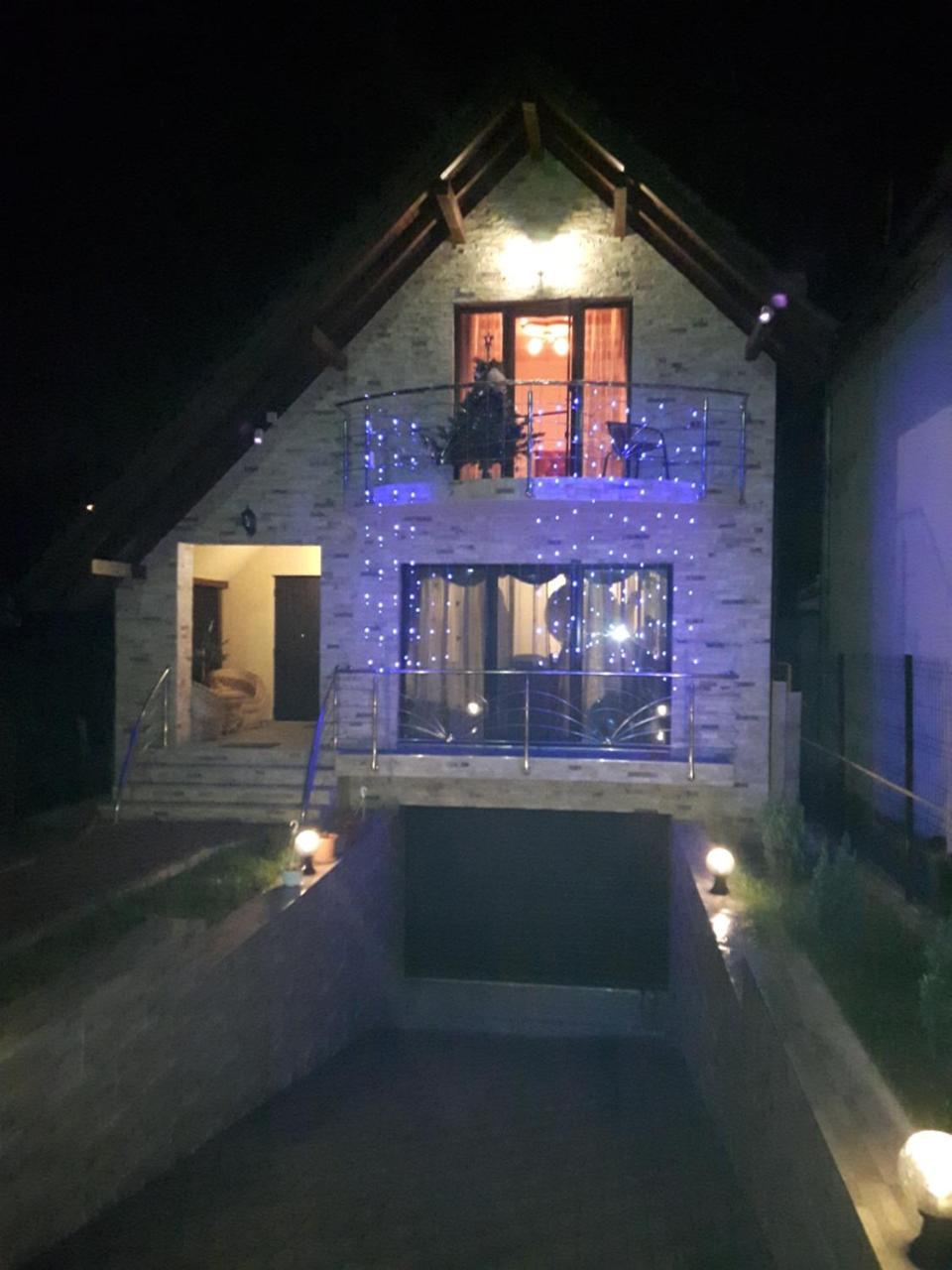Hôtel Vila Alexia à Călimăneşti Extérieur photo