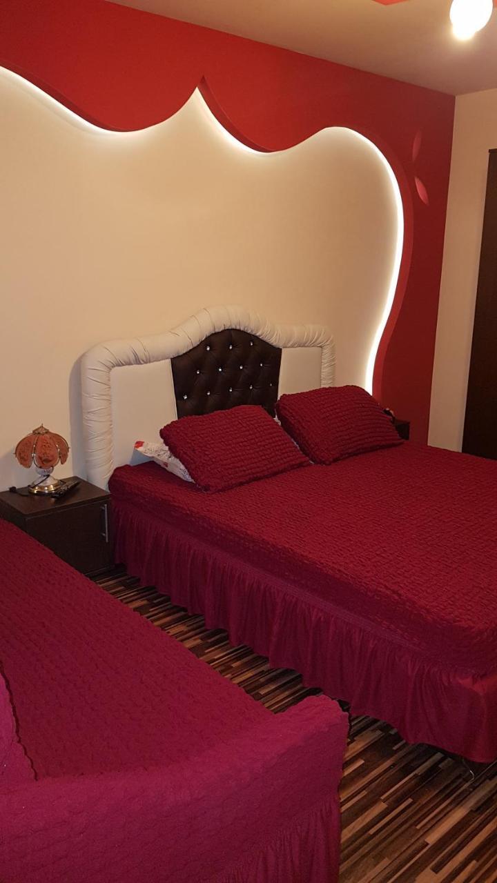 Hôtel Vila Alexia à Călimăneşti Extérieur photo