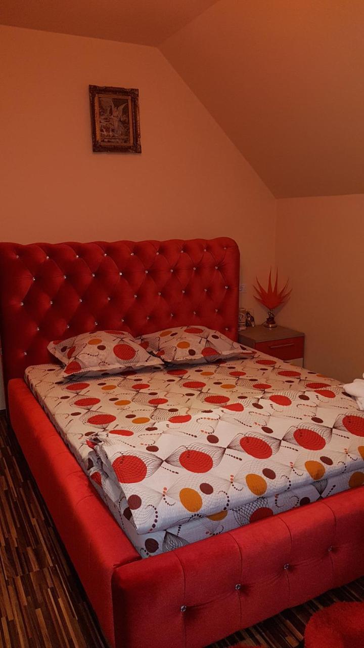 Hôtel Vila Alexia à Călimăneşti Extérieur photo