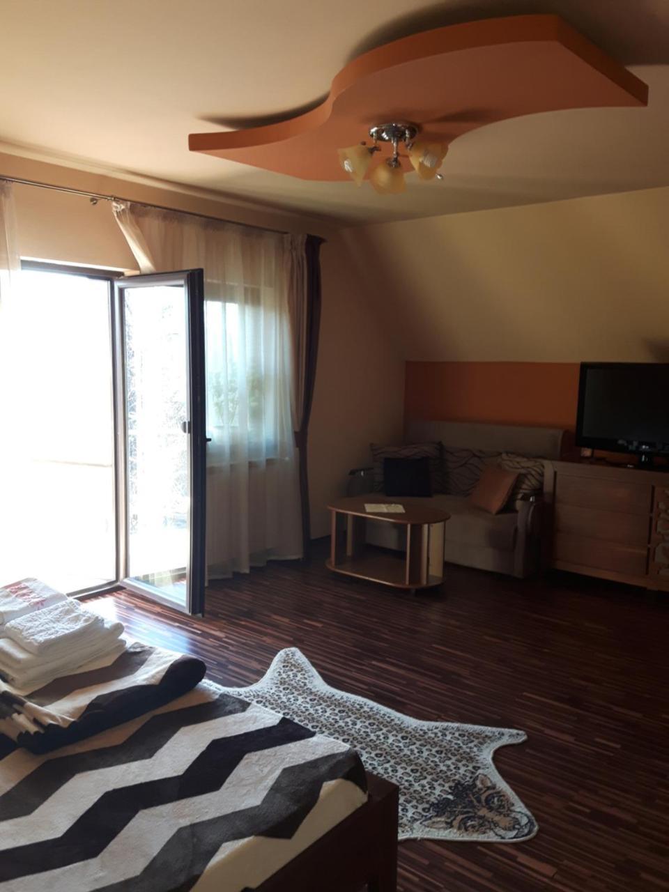 Hôtel Vila Alexia à Călimăneşti Extérieur photo
