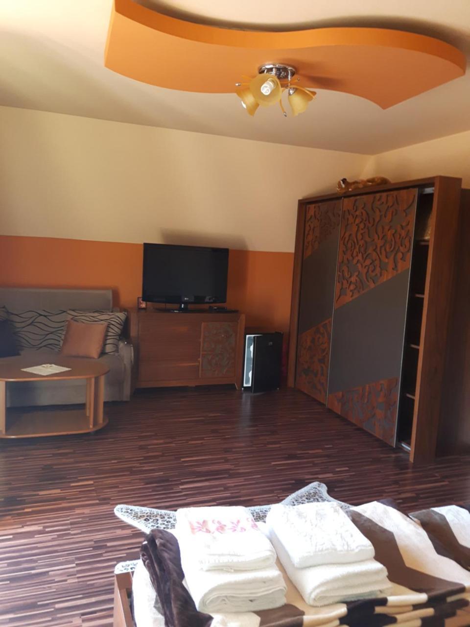 Hôtel Vila Alexia à Călimăneşti Extérieur photo