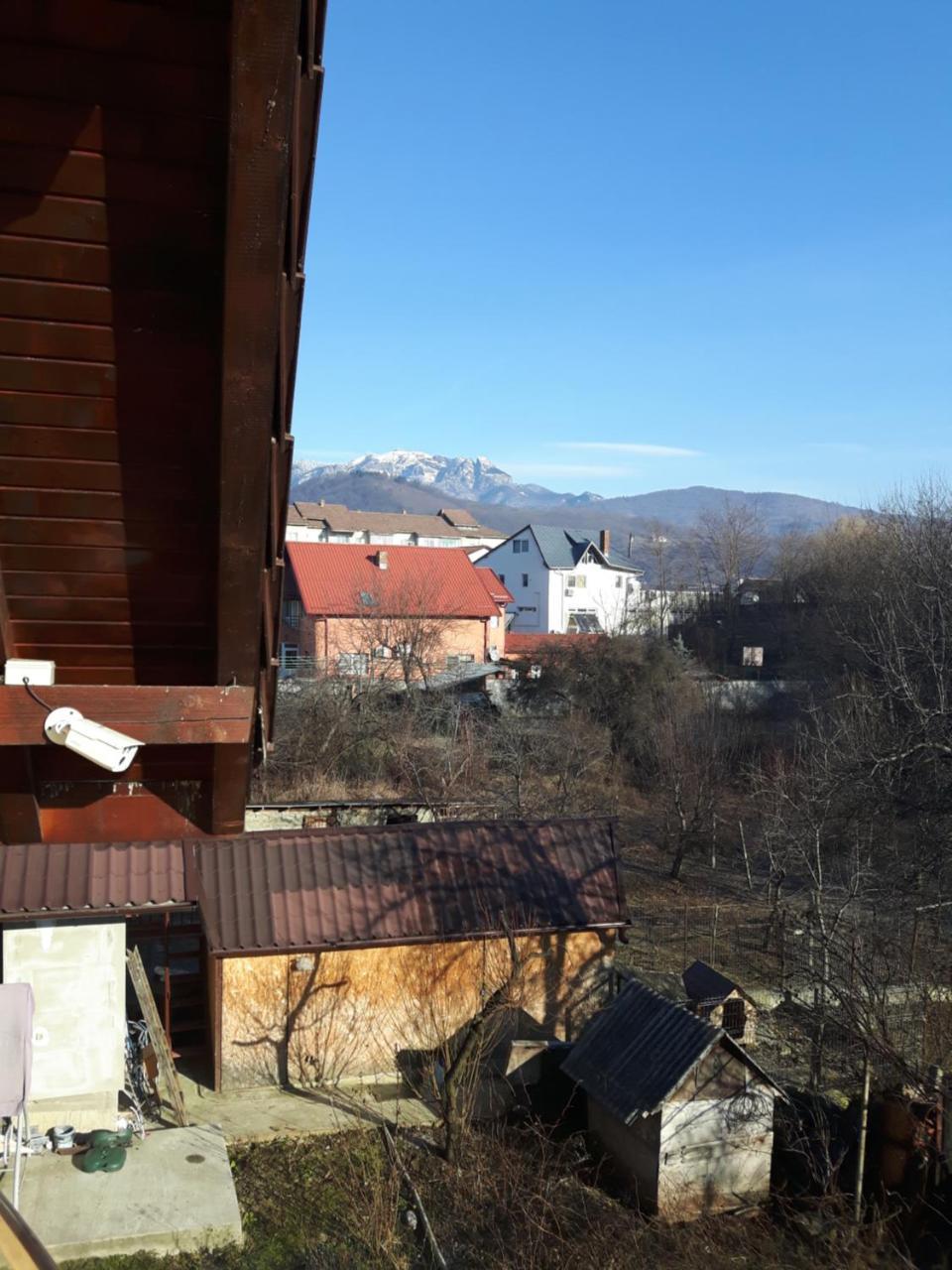 Hôtel Vila Alexia à Călimăneşti Extérieur photo
