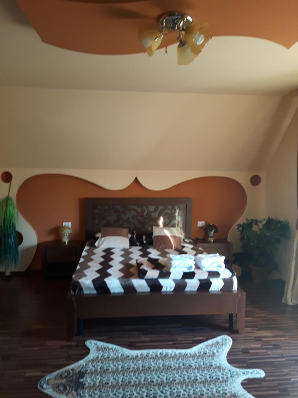 Hôtel Vila Alexia à Călimăneşti Extérieur photo