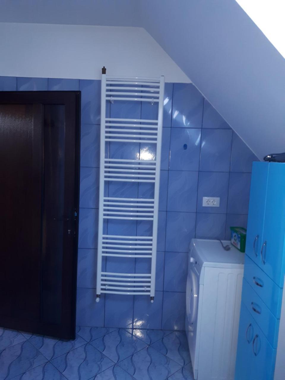 Hôtel Vila Alexia à Călimăneşti Extérieur photo