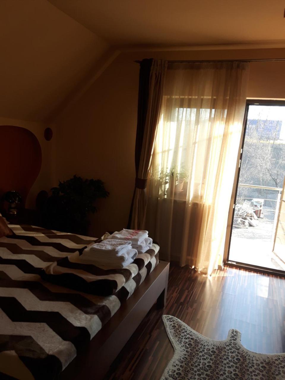 Hôtel Vila Alexia à Călimăneşti Extérieur photo
