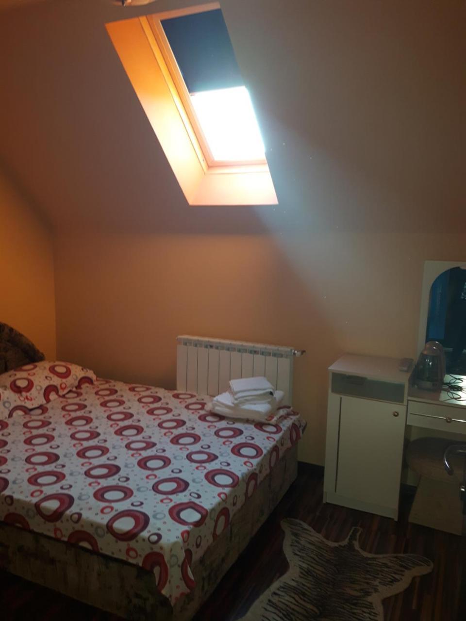Hôtel Vila Alexia à Călimăneşti Extérieur photo