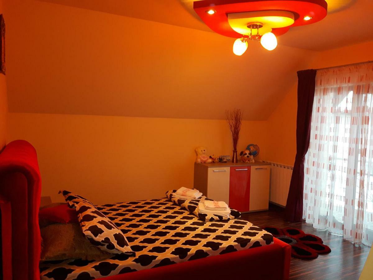 Hôtel Vila Alexia à Călimăneşti Extérieur photo
